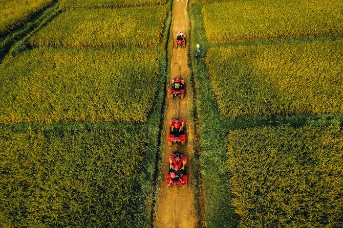 Ubud ATV Ride through River Jungle Rice Fields Puddles - Single or Tandem ATV Riding