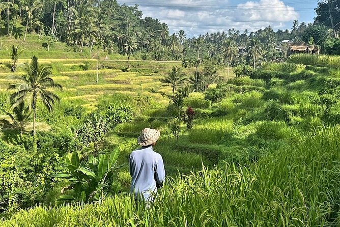 Ubud Bali Driver - Private Driver in Ubud - Tibumana Waterfall and its 45-minute pause