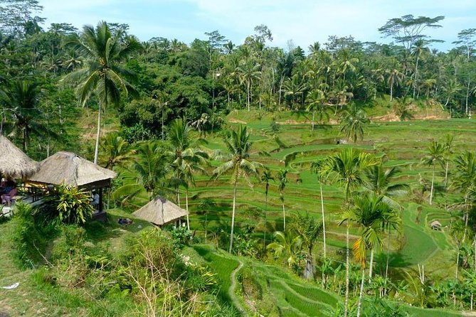 Ubud Combine Mount Batur Kintamani Tour - Tegenungan Waterfall and the two-hour pause