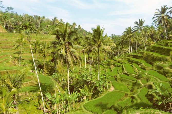 Ubud Combine Mount Batur Kintamani Tour - Food, transport, and the real cost