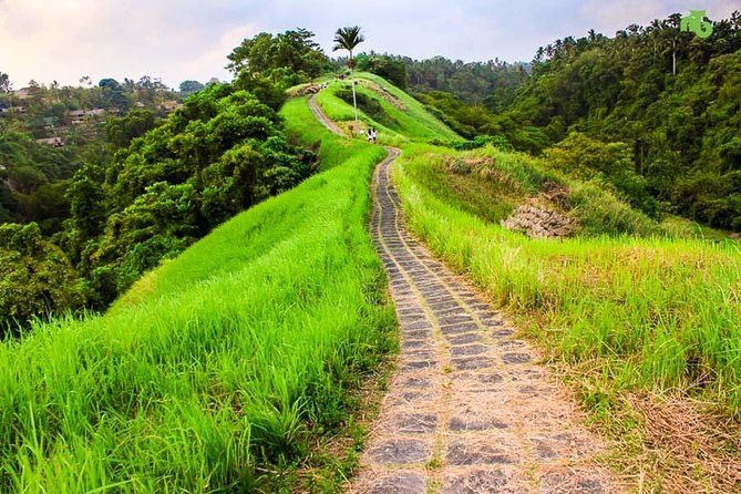 Ubud Countryside Tour: Campuhan Ridge Walk and Rice Terrace - Why this Ubud day trip works