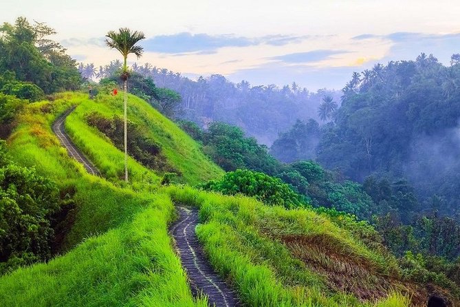 Ubud Countryside Tour: Campuhan Ridge Walk and Rice Terrace - Reaching Tegenungan Waterfall