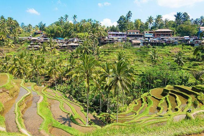 Ubud Countryside Tour: Campuhan Ridge Walk and Rice Terrace - How the private vehicle changes the day