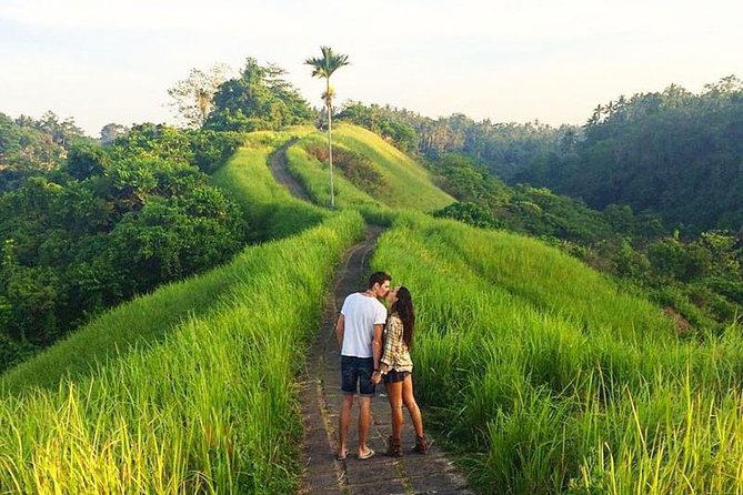 Ubud Countryside Tour: Campuhan Ridge Walk and Rice Terrace - What the $40 price really covers