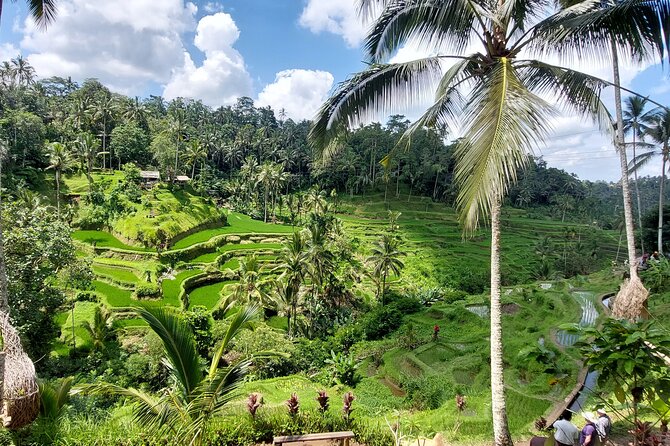 Ubud Customized Private Tour - Art at Dewa Putu Toris and traditional life at Batuan Temple