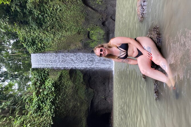 Ubud Day Tour - Private Ubud Tour Guide - Best Of Ubud Tour - What the private driver adds to the day