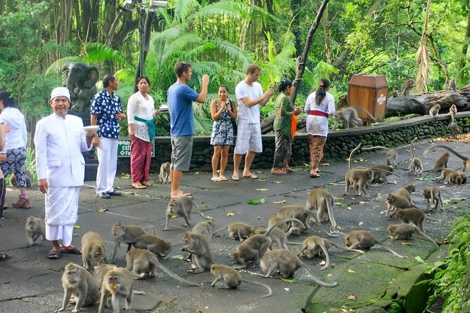 Ubud Day Tour: Sacred Monkey Forest, Tegenungan Waterfall, Rice Terrace - Ubud Palace: a brief cultural pause