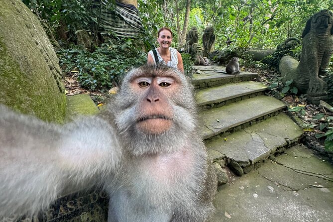Ubud Day Tour with Private Car & Local Driver - Tirta Empul Temple and Bali’s holy spring water