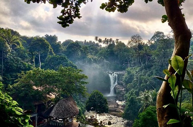 Ubud Day Tour with Private Car & Local Driver - Tegalalang Rice Terrace: Bali’s famous green contours