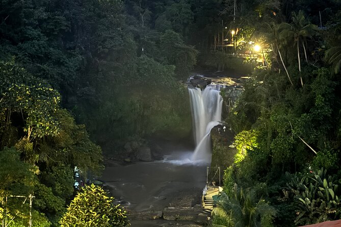 Ubud Day Tour with Private Car & Local Driver - What the driver adds to the experience