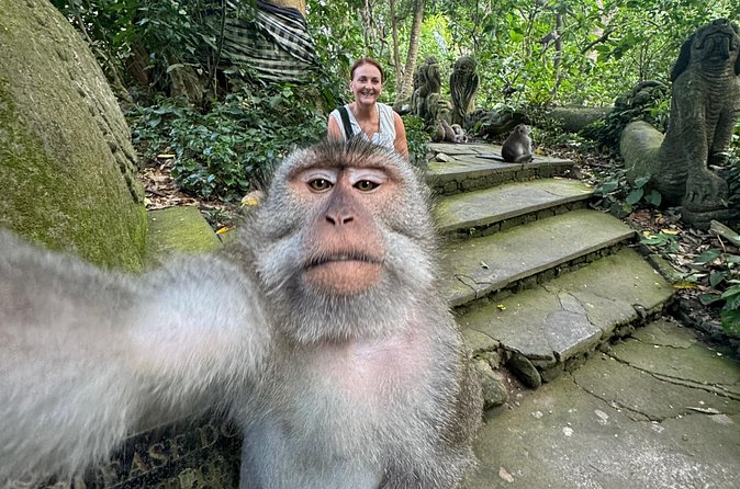 Ubud Day Tour with Private Car & Local Driver - Comfort, timing, and what you pay for