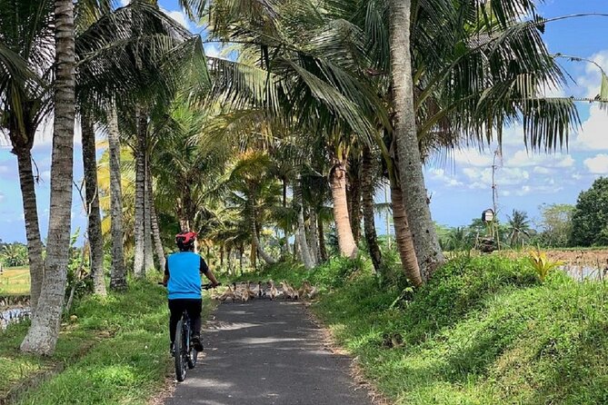 Ubud: Downhill Cycling with Volcano, Rice Terraces and Meal - Family compounds, temples, and village traditions