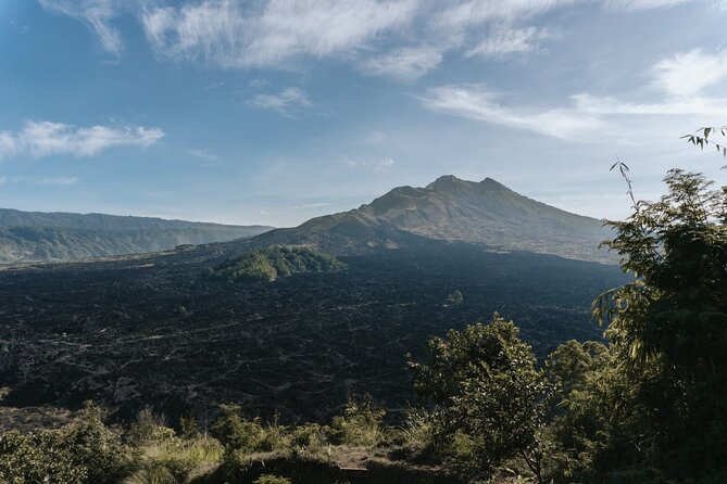Ubud: Downhill Cycling with Volcano, Rice Terraces and Meal - The downhill route through farms, villages, and rice fields