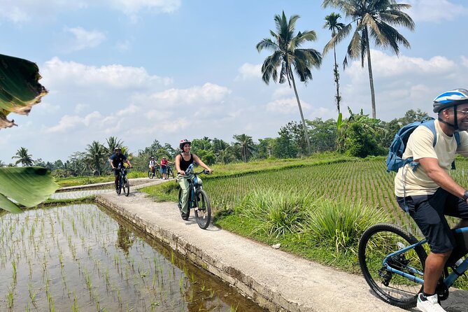 Ubud eBikes Tour to Tegallalang Rice Terrace - A traditional Balinese compound house