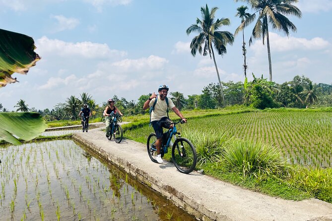 Ubud eBikes Tour to Tegallalang Rice Terrace - The village temple and Balinese Hindu customs