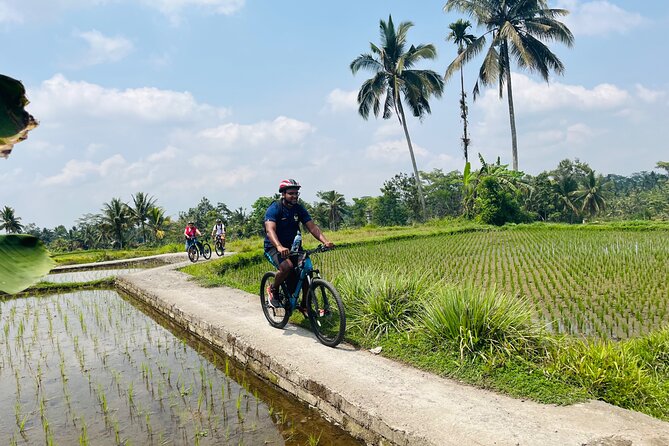 Ubud eBikes Tour to Tegallalang Rice Terrace - Guides make or break the morning