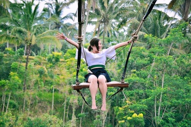 Ubud Experience | Full Day Private Tour in Ubud | FREE WIFI - Key points to know before booking