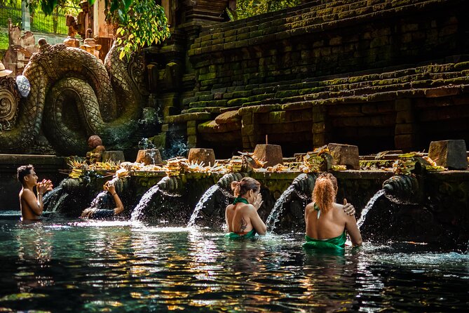 Ubud Experience | Full Day Private Tour in Ubud | FREE WIFI - Sacred Monkey Forest: a shaded start in Ubud
