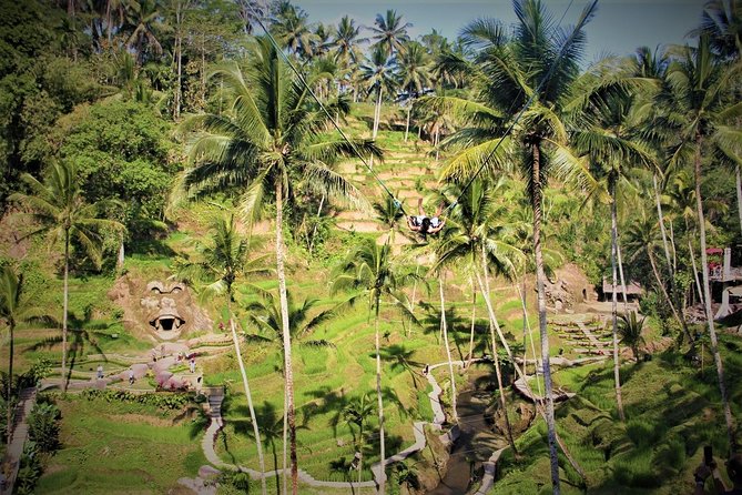 Ubud Experience | Full Day Private Tour in Ubud | FREE WIFI - Tegenungan Waterfall brings a change of pace