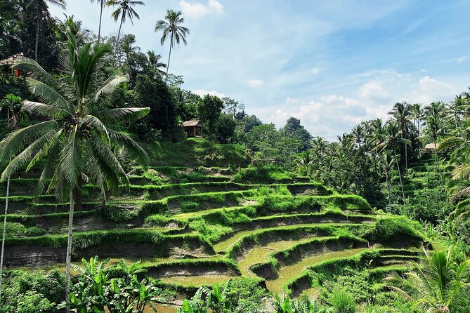 Ubud Experience | Full Day Private Tour in Ubud | FREE WIFI - Batuan Temple and Ubud’s art traditions