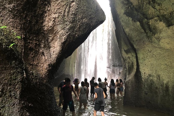 Ubud Experience ; Swing, Waterfalls, Art Market, Rice Terrace - Is $41.67 good value for a private Bali day?