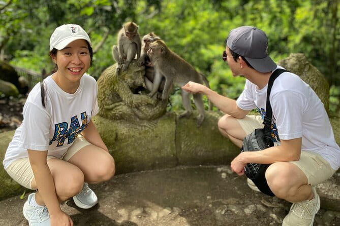 Ubud Full-Day Private Tour: Waterfall, Temple, Rice Terrace. - Why a private Ubud day makes sense from Seminyak