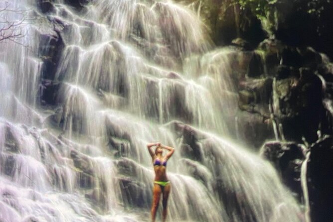 Ubud Highlight Rice Terrace,Waterfall,Temple and Art village - Why this one-day Ubud route works