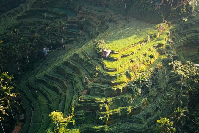 Ubud Iconic Full Day Tour Monkey Forest Rice Terraces Waterfalls - Tirta Empul and the meaning of a holy spring
