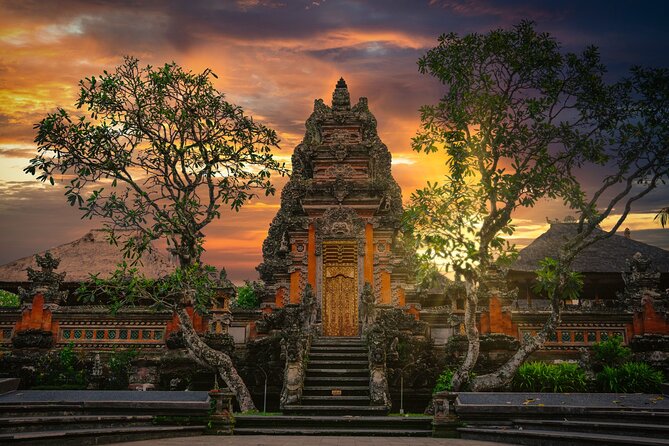 Ubud Iconic Full Day Tour Monkey Forest Rice Terraces Waterfalls - The guide and the private vehicle