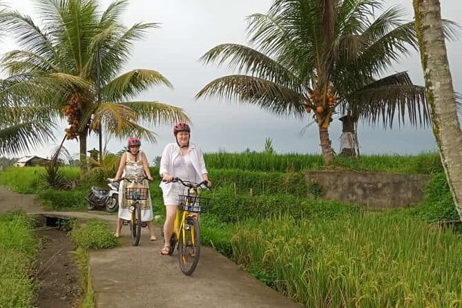 Ubud : Kintamani Downhill Cycling Tour with Lunch - Bayung Gede: starting above the villages