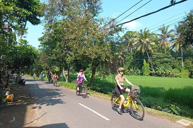 Ubud : Kintamani Downhill Cycling Tour with Lunch - Lunch at The Amertha Restaurant in Tampaksiring