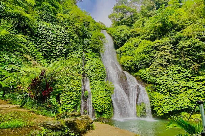 Ubud : Kintamani Downhill Cycling Tour with Lunch - What the $29.90 price really covers