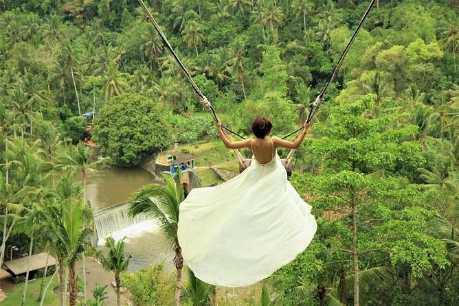 Ubud: Monkey Forest, Jungle Swing, Rice Terrace, and Water Temple - A long day made easier by private transport