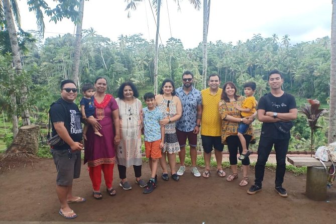 Ubud: Monkey Forest, Jungle Swing, Rice Terrace, and Water Temple - Tegenungan Waterfall and the cost of going down