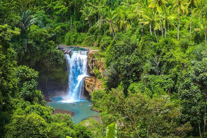 Ubud: Monkey Forest, Jungle Swing, Rice Terrace, and Water Temple - Tirta Empul, a temple with meaning beyond the photo