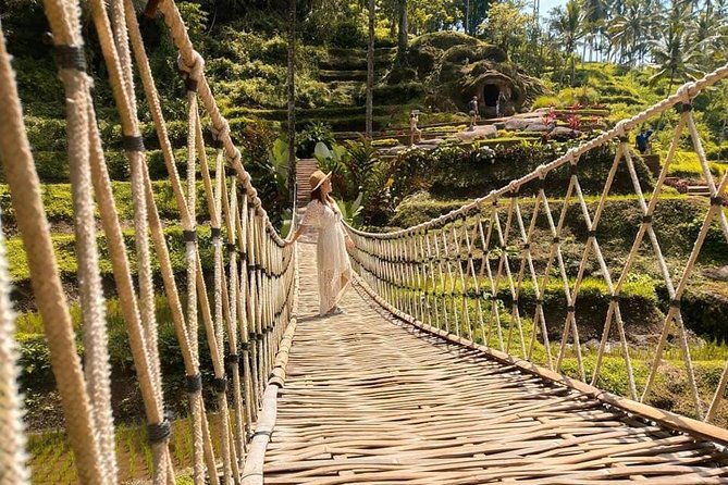 Ubud: Monkey Forest, Jungle Swing, Rice Terrace, and Water Temple - What $31 really gets you