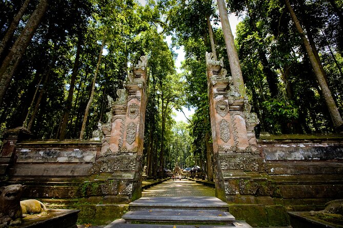 Ubud: Monkey Forest, Rice Terraces & Sacred Temples - Price, group size, and what you receive