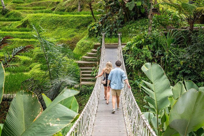 Ubud: Monkey Forest, Rice Terraces & Sacred Temples - Monkey Forest, where temples share the shade
