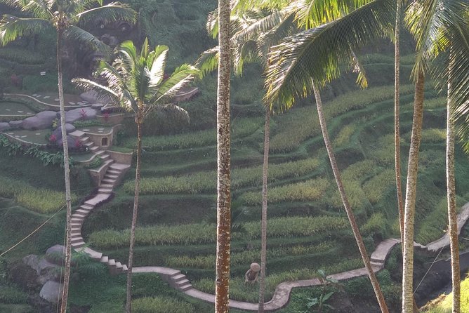 Ubud Private & Customize Day Tour - Ubud town and the art market