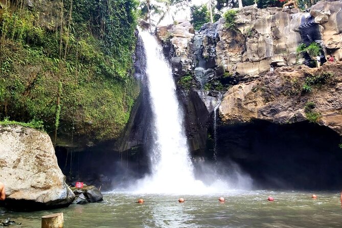 Ubud Private Tour : Best Of Ubud - Guided Tour - Tegalalang Rice Terrace: the classic Ubud view
