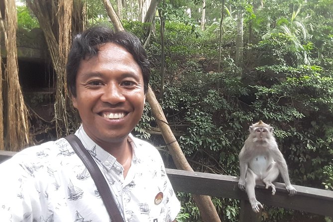 Ubud Private Tour : Best Of Ubud - Guided Tour - Ulu Petanu Waterfall: a quieter nature stop