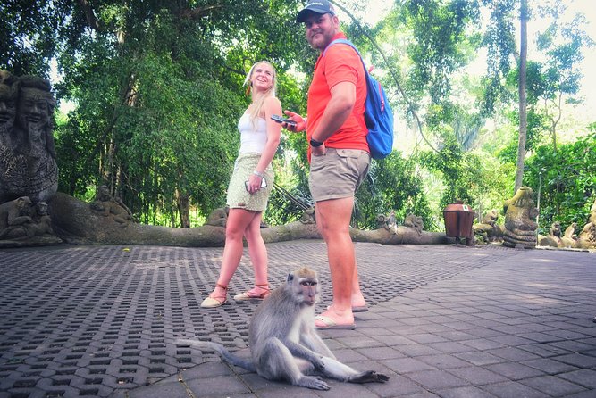 Ubud Private Tour : Choice Your Own Trip - Saraswati Temple and Antonio Blanco’s art