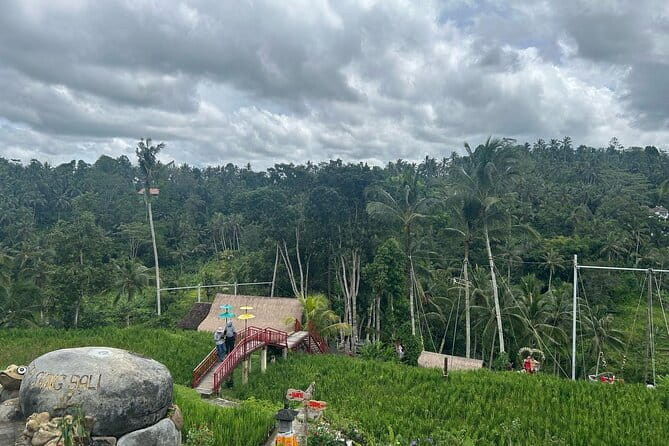Ubud Private Tour From Cruise Port Benoa Bali All Inclusive - Tegalalang Rice Terrace in one busy hour