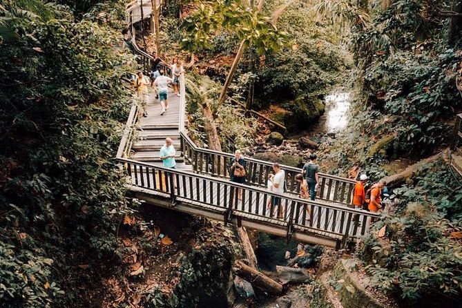 Ubud Private Tour: Monkey Forest, Rice Terrace, Temple, Waterfall - A full-day route from Seminyak to central Bali