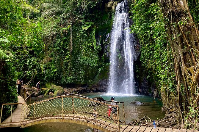 Ubud Private Tour: Monkey Forest, Rice Terrace, Temple, Waterfall - Swimming at Ulu Petanu Waterfall