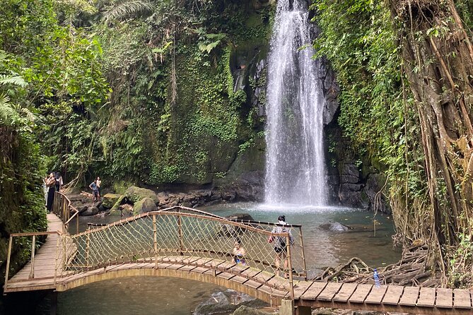 Ubud Private Tour: Monkey Forest, Rice Terrace, Temple, Waterfall - Taking part in purification at Tirta Empul Temple