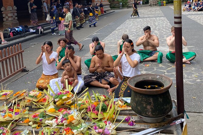 Ubud Private Tour: Monkey Forest, Rice Terrace, Temple, Waterfall - What the private guide adds to the day