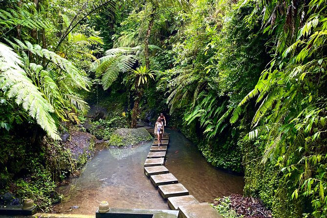 Ubud Private Tour: Monkey Forest, Rice Terrace, Temple, Waterfall - Is $27 good value for this Bali day trip?