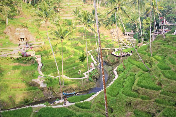Ubud Private Tour : Ubud Temple and Authentic of Ubud - Taking in the Tegalalang Rice Terrace