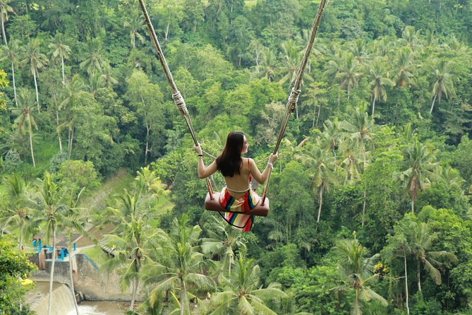 Ubud Private Tours with Jungle Swing Experience - all inclusive - Key points before you book